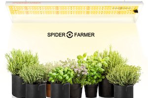 Spider Farmer coupon